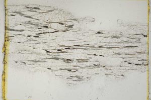 Plane Polarized, S3868
