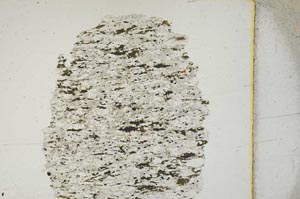 Plane Polarized, S3872