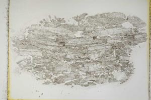Plane Polarized, S3879