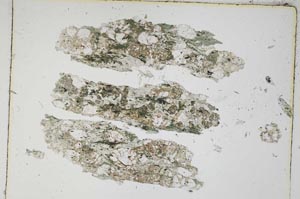 Plane Polarized, S3900