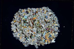 Cross Polarized, S3901