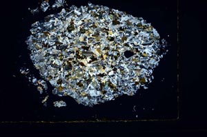 Cross Polarized, S3902