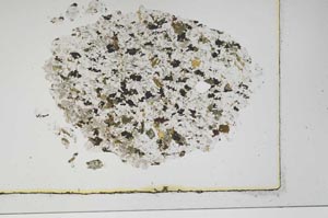 Plane Polarized, S3902