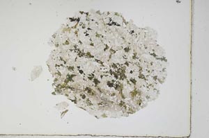 Plane Polarized, S3903