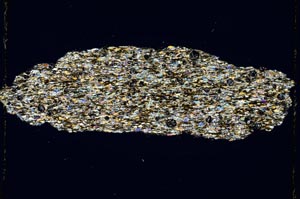 Cross Polarized, S3904