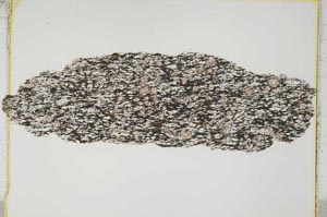 Plane Polarized, S3904