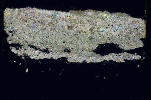 Cross Polarized, S3910