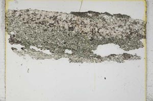 Plane Polarized, S3910