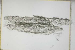 Plane Polarized, S3911