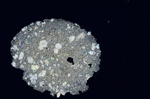 Cross Polarized, S3913