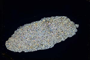 Cross Polarized, S3914