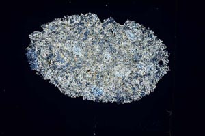 Cross Polarized, S3915