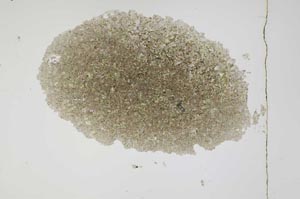 Plane Polarized, S3917