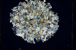 Cross Polarized, S3919