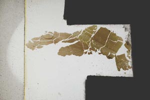 Plane Polarized, S3922/a