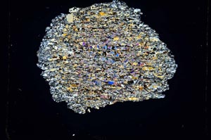 Cross Polarized, S3925