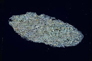 Cross Polarized, S3926