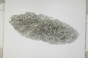 Plane Polarized, S3926