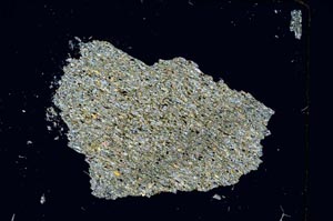 Cross Polarized, S3927