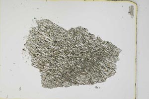 Plane Polarized, S3927