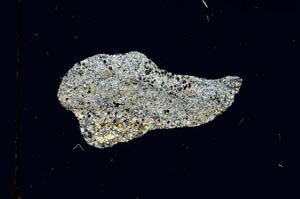 Cross Polarized, S3930