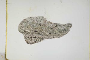 Plane Polarized, S3930