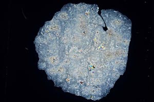 Cross Polarized, S3933