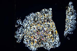 Cross Polarized, S3943