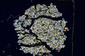 Cross Polarized, S3945