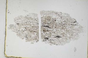 Plane Polarized, S3952