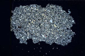 Cross Polarized, S3972