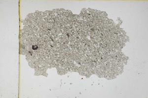 Plane Polarized, S3972