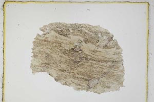 Plane Polarized, S3975