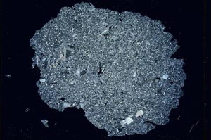 Cross Polarized, S3976