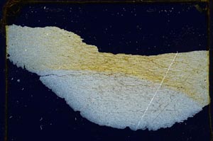 Cross Polarized, S3984