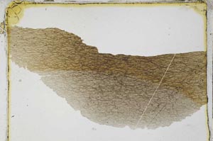 Plane Polarized, S3984