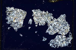 Cross Polarized, S3993