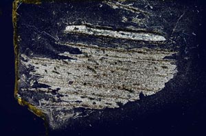 Cross Polarized, S4002/A