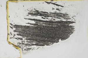 Plane Polarized, S4002/A