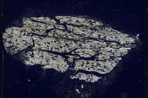 Cross Polarized, S4002/B