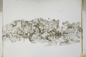 Plane Polarized, S4047