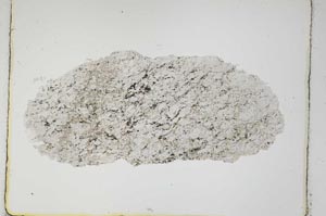 Plane Polarized, S4049