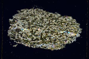 Cross Polarized, S4050