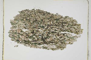 Plane Polarized, S4050