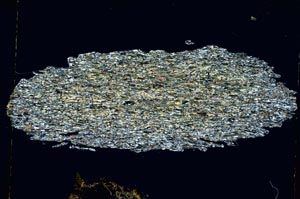 Cross Polarized, S4051