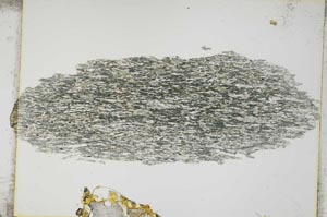 Plane Polarized, S4051