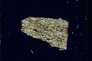 Cross Polarized, S4052