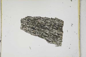 Plane Polarized, S4052