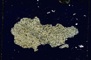 Cross Polarized, S4053