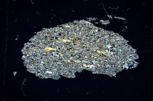 Cross Polarized, S4054